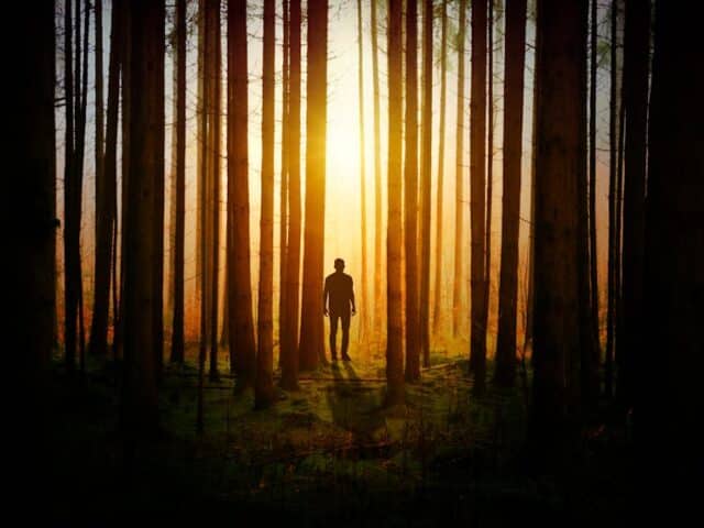 Image d'une silhouette dans les bois